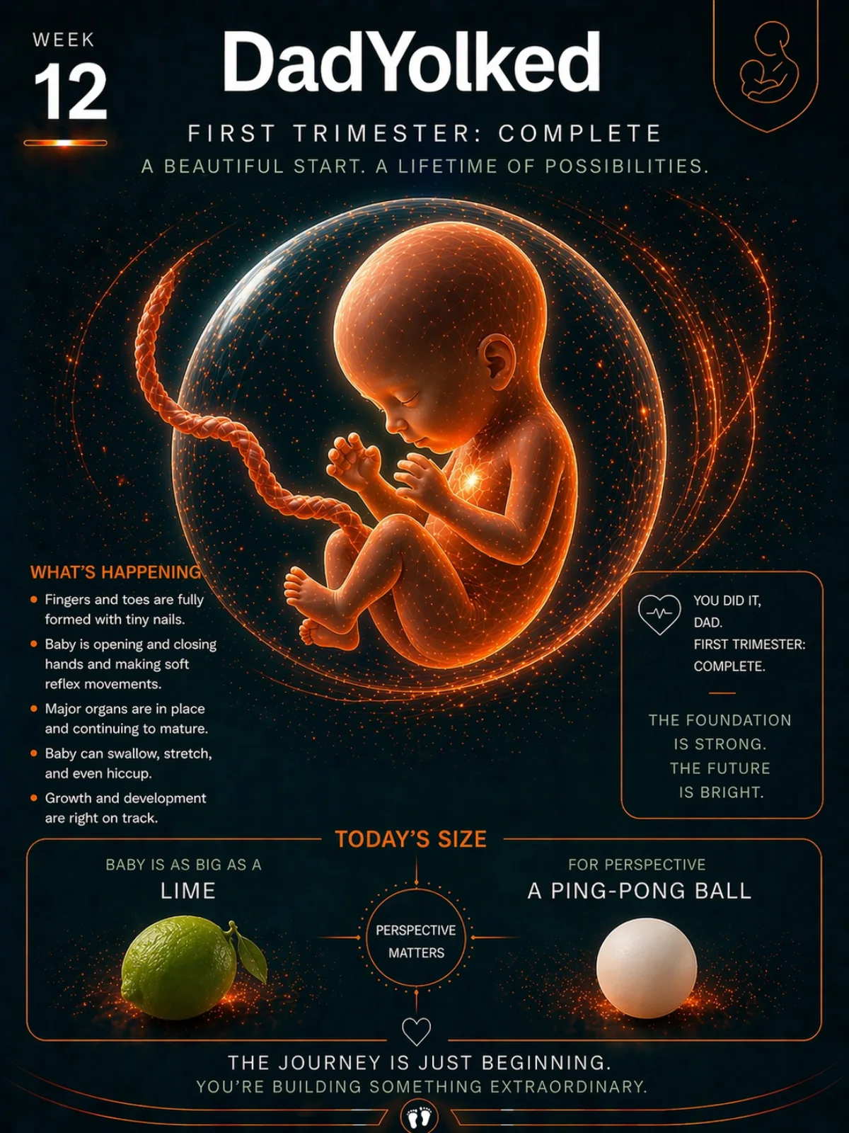 Week 12 pregnancy illustration